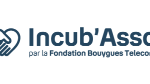211129 Logo IncubAsso Bleu