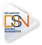 logo-declaration sociale nominative-dsn